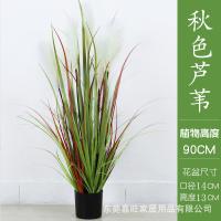 XU0612661